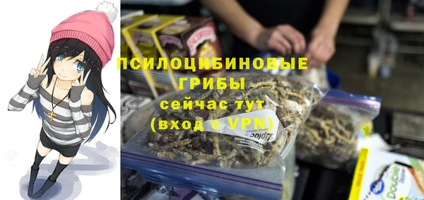 стафф Алексеевка